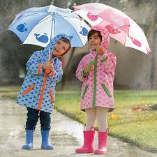 Precautions during Monsoons 